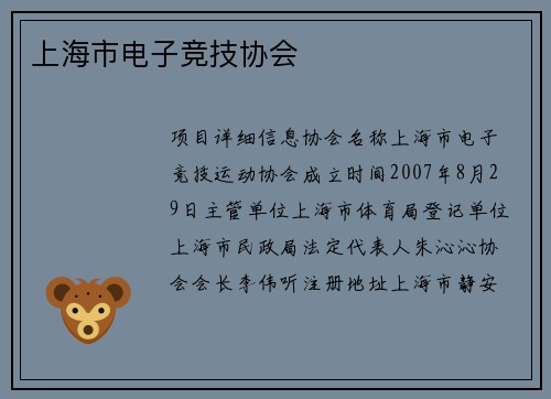 上海市电子竞技协会